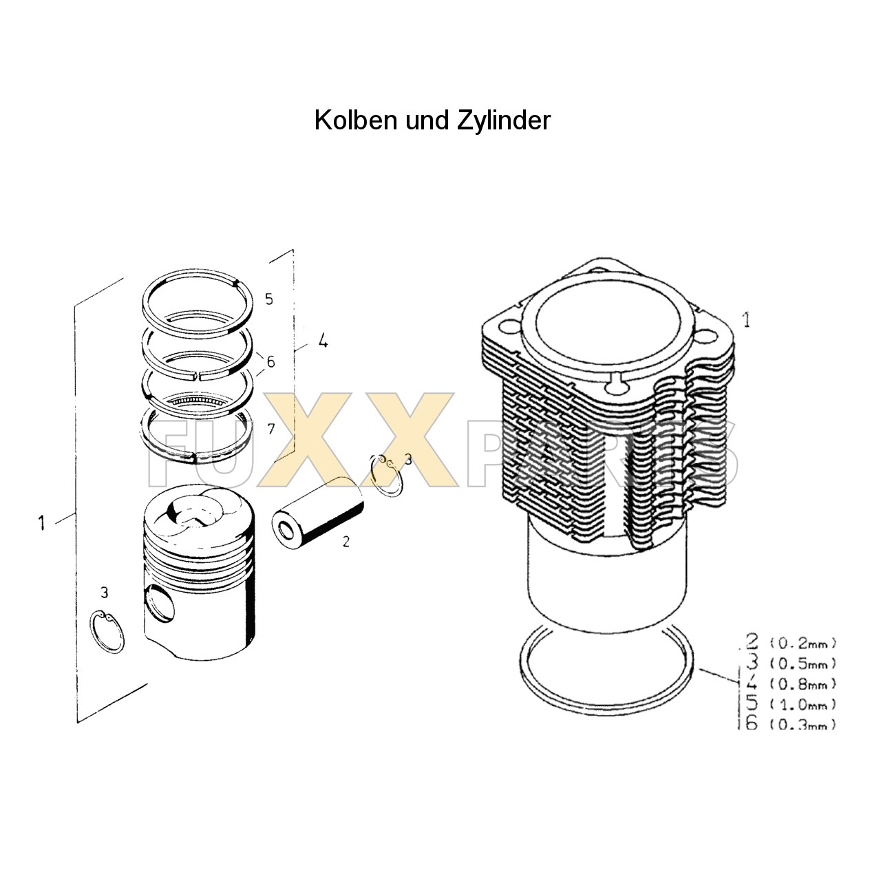 AgroPrima 4.56 Kolben und Zylinder