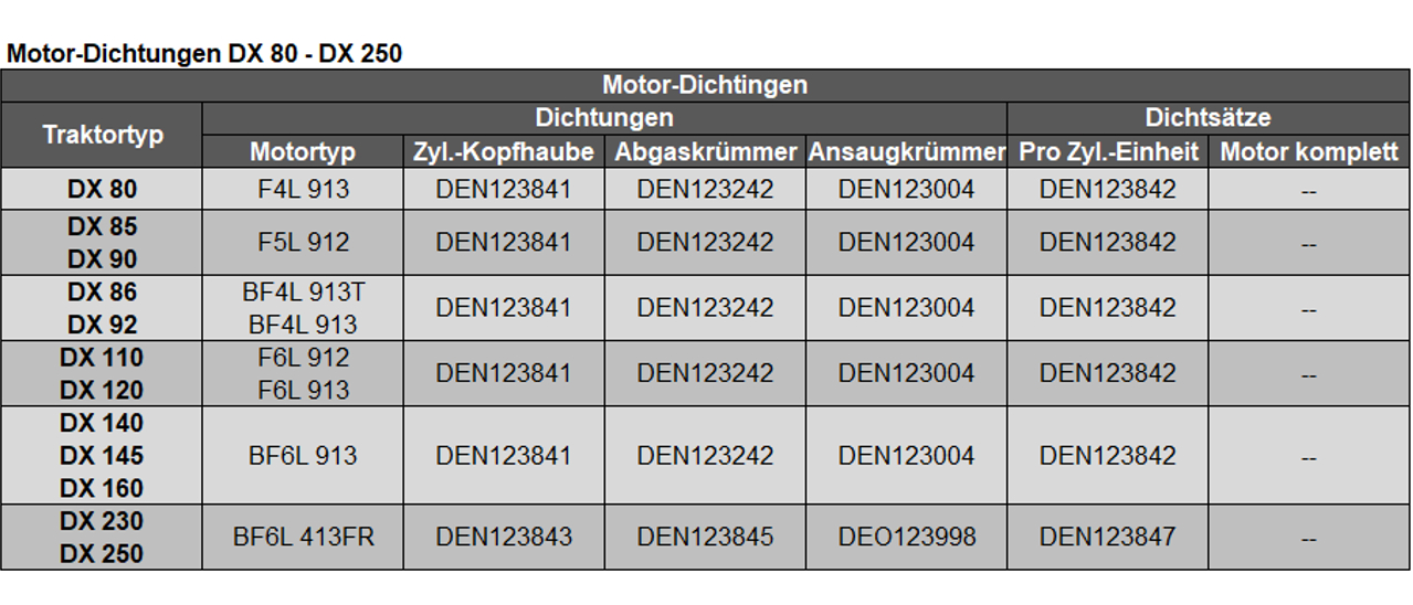 Dichtungen DX 80 - DX 250