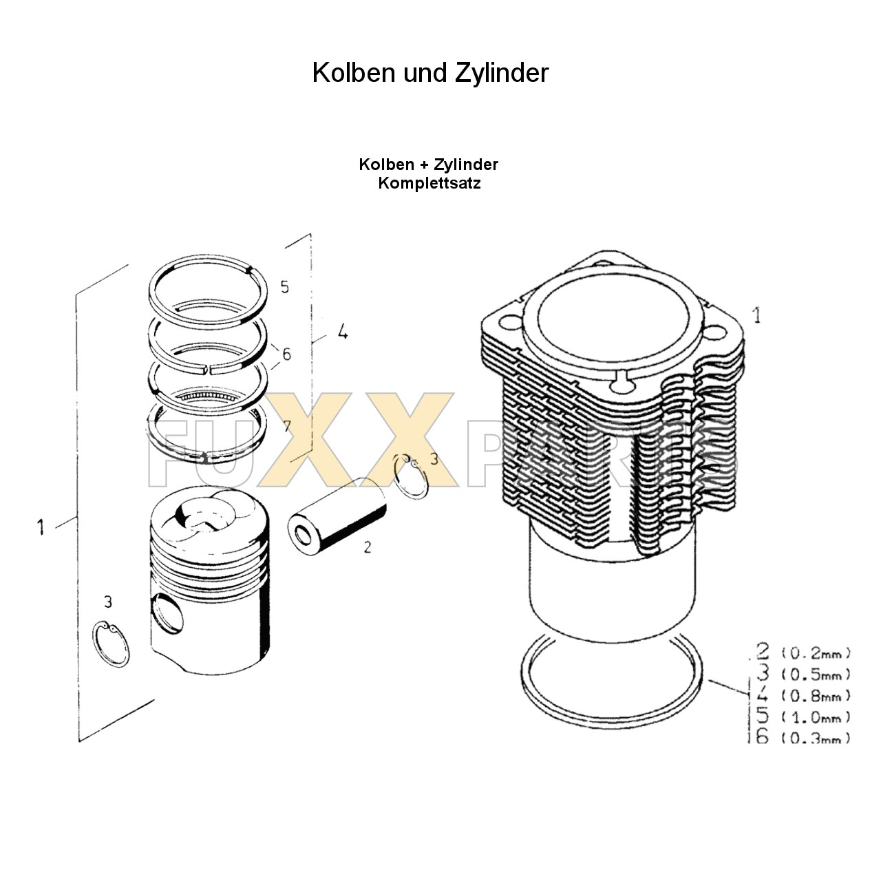 DX 4.50 Kolben und Zylinder